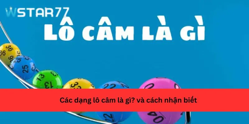 Các dạng lô câm là gì? và cách nhận biết