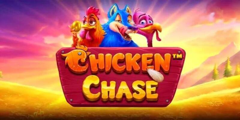 Chicken chase và những ưu điểm đầy nổi bật