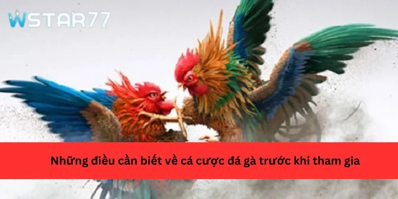 Những điều cần biết về cá cược đá gà trước khi tham gia