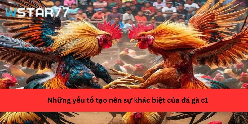 Những yếu tố tạo nên sự khác biệt của đá gà c1